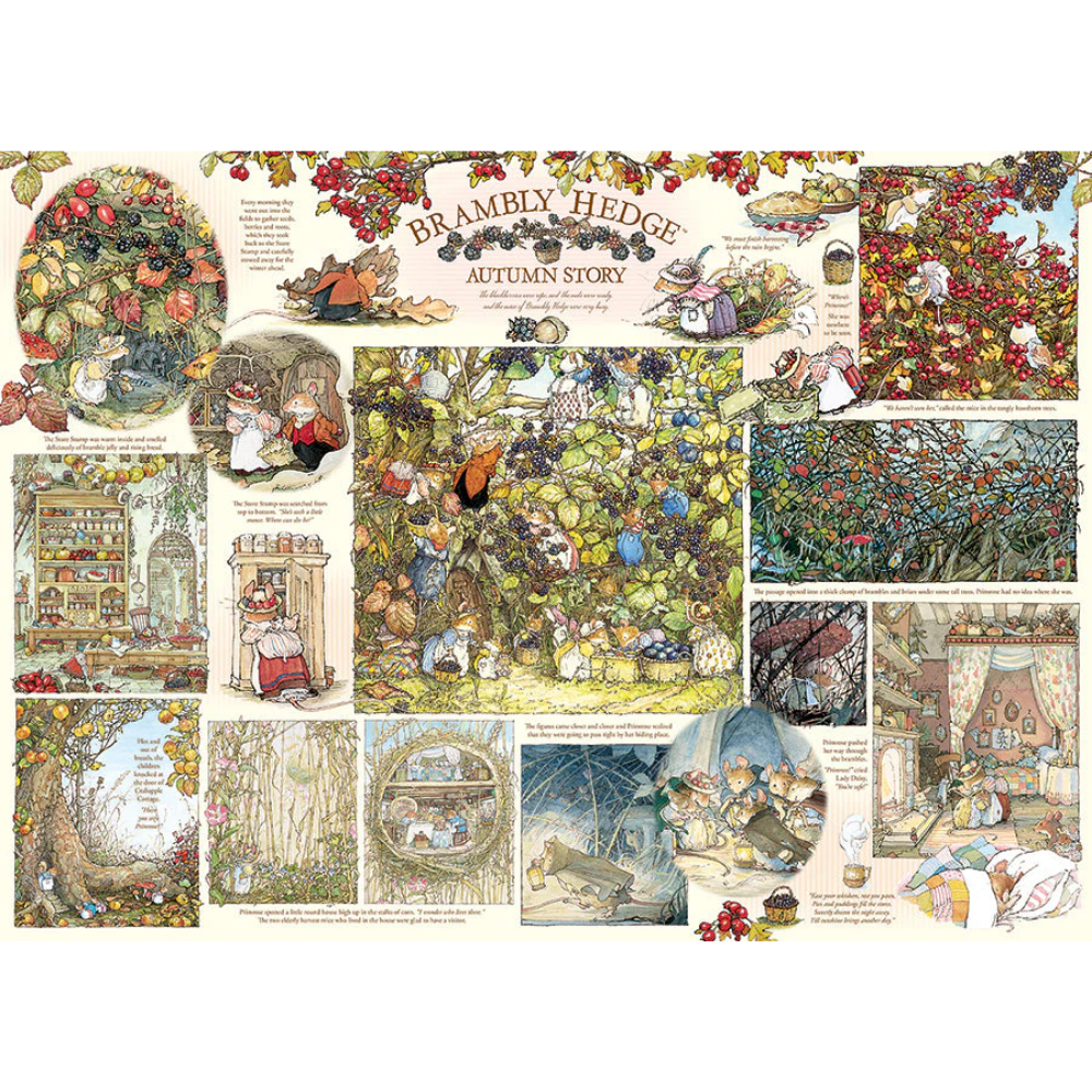 Brambly Hedge Autumn Story 40017 (2)