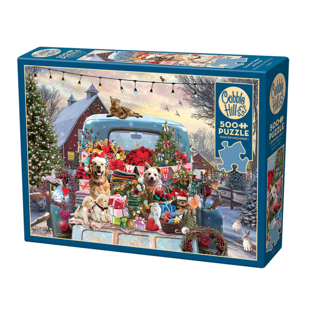 Country Truck in Winter 45127 (1)