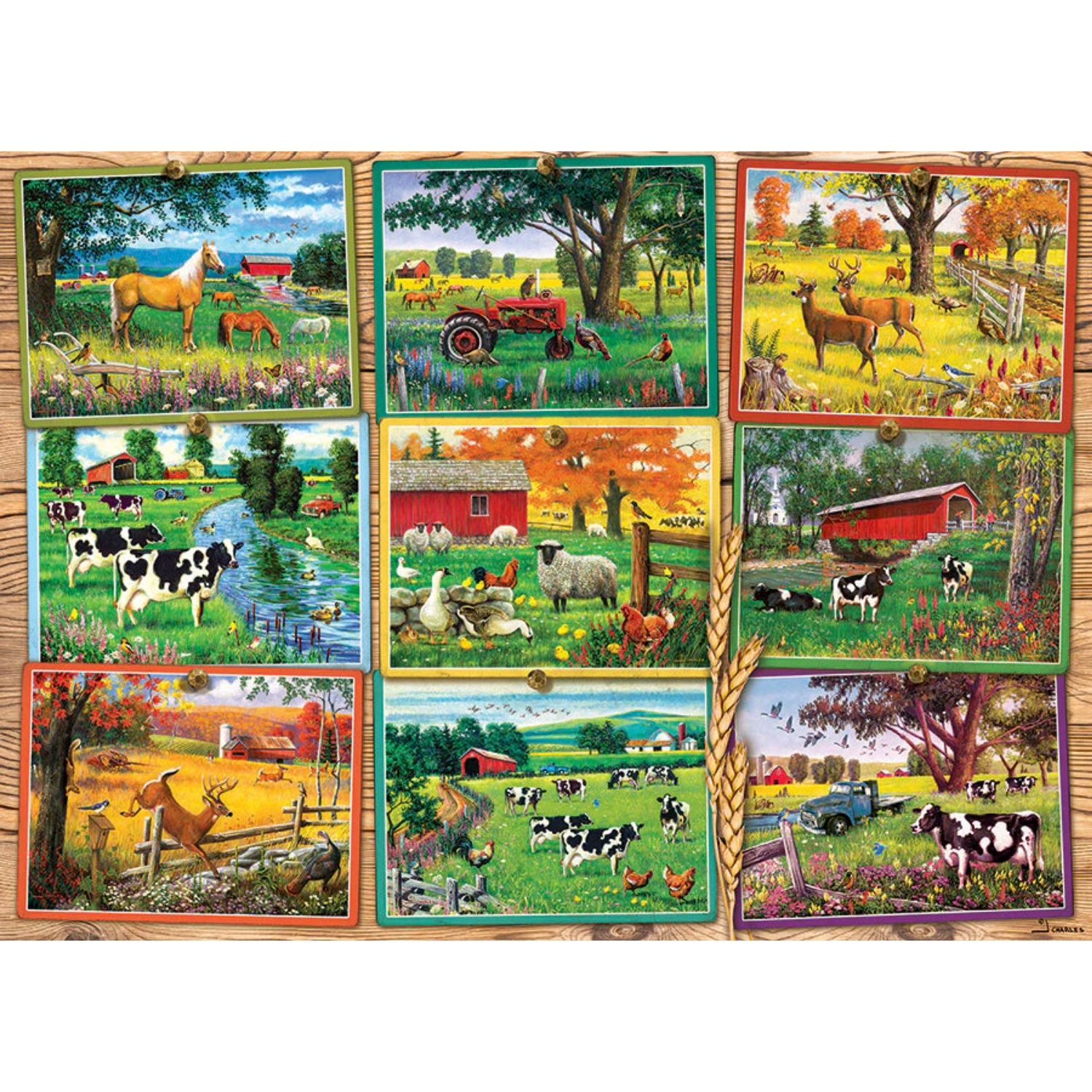 40014-postcards-from-the-farm-pkg-rgb_865x700 (2)