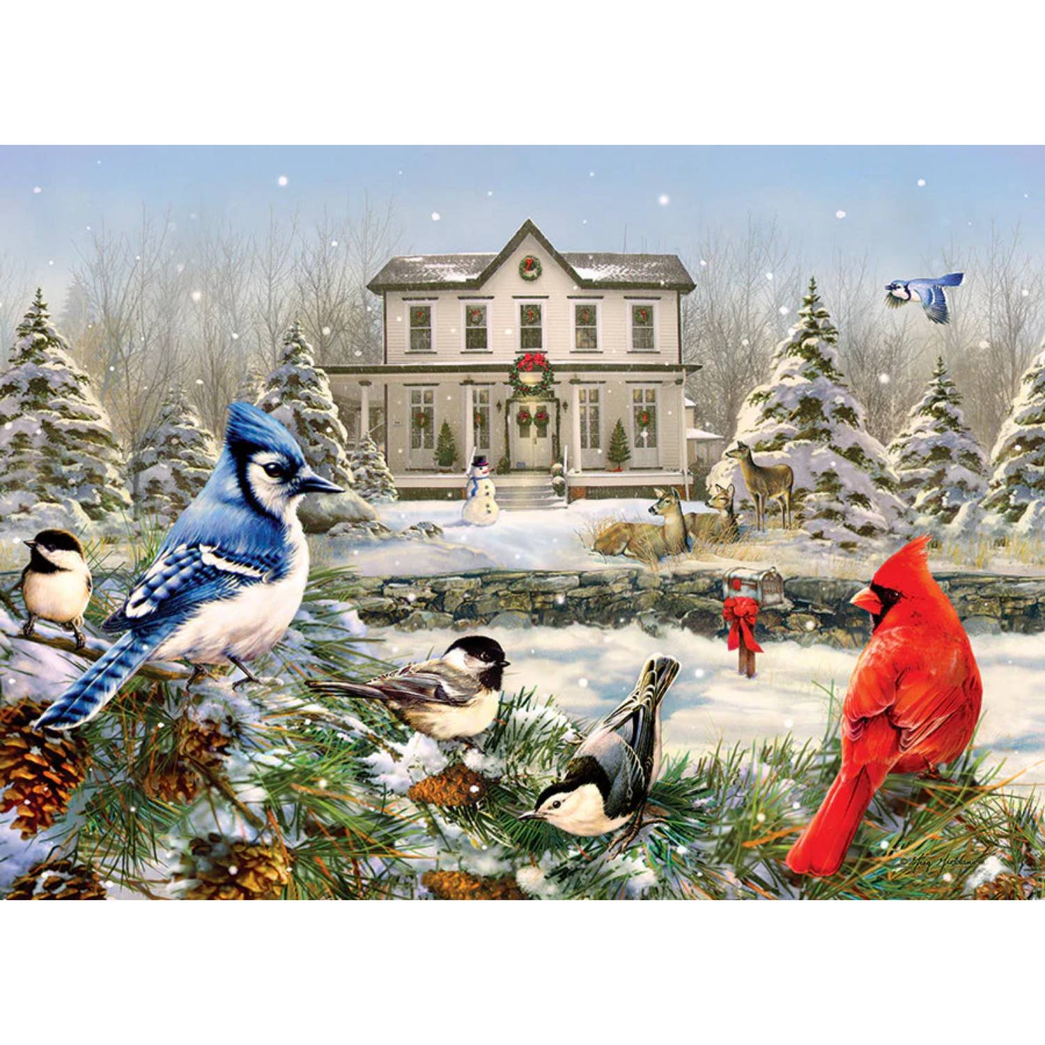 40039-country-house-birds-pkg-rgb_865x700 (2)