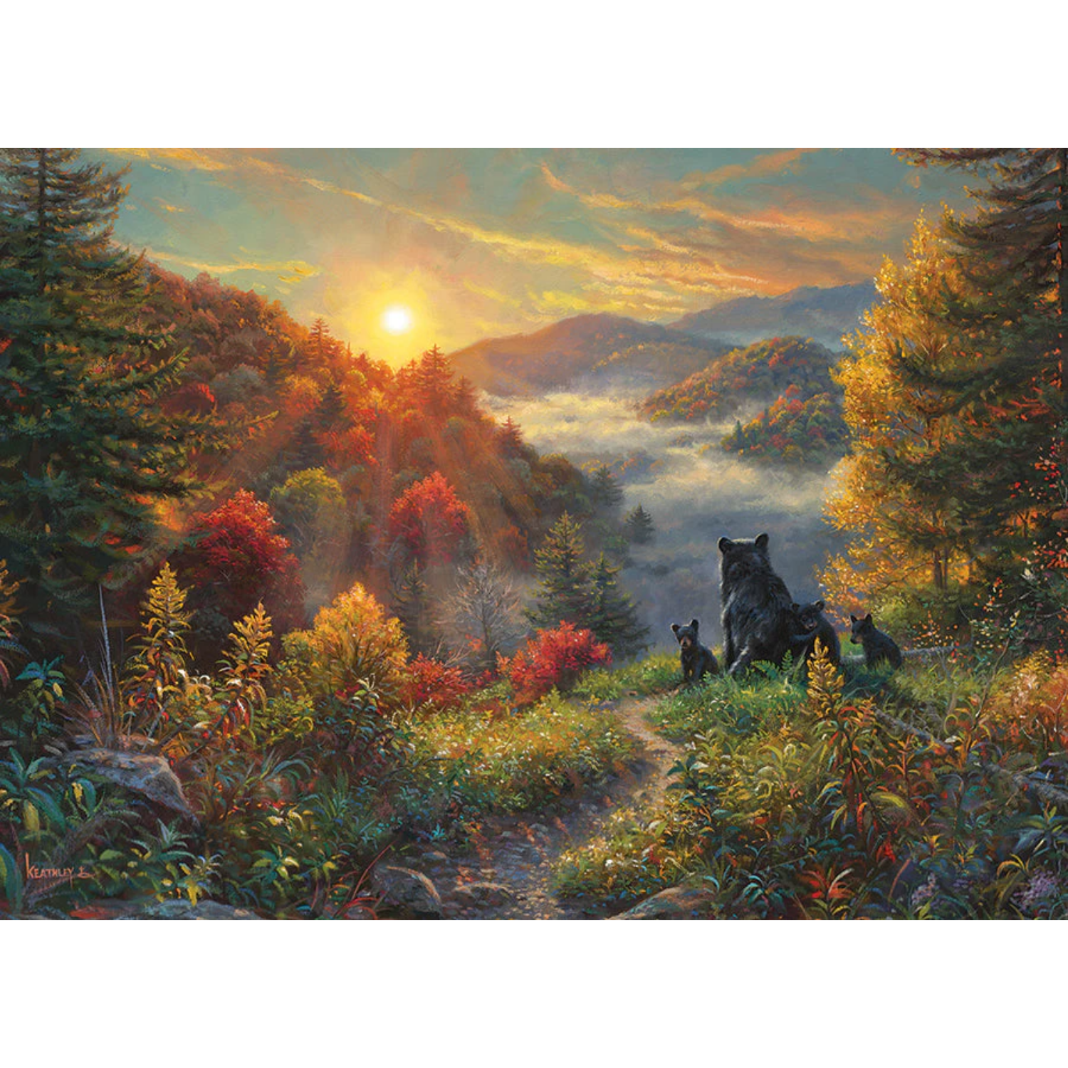 40194-new-day-pkg-rgb_865x700 (2)