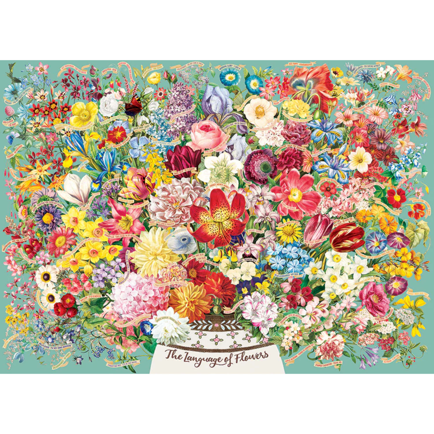 40361-the-language-of-flowers-pkg_865x700 (2)