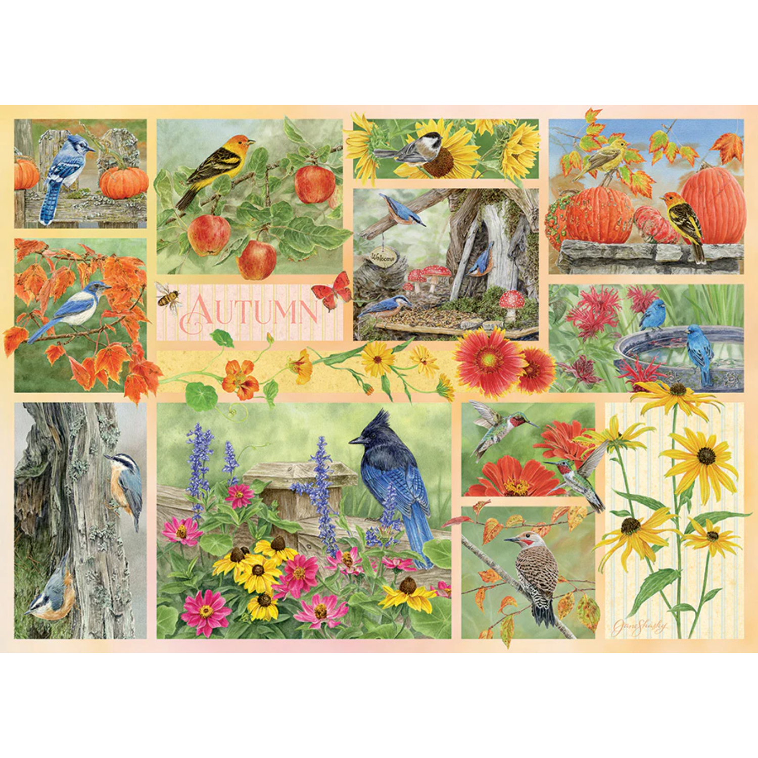 45103-Garden-Birds-in-Autumn-pkg-rgb_865x700