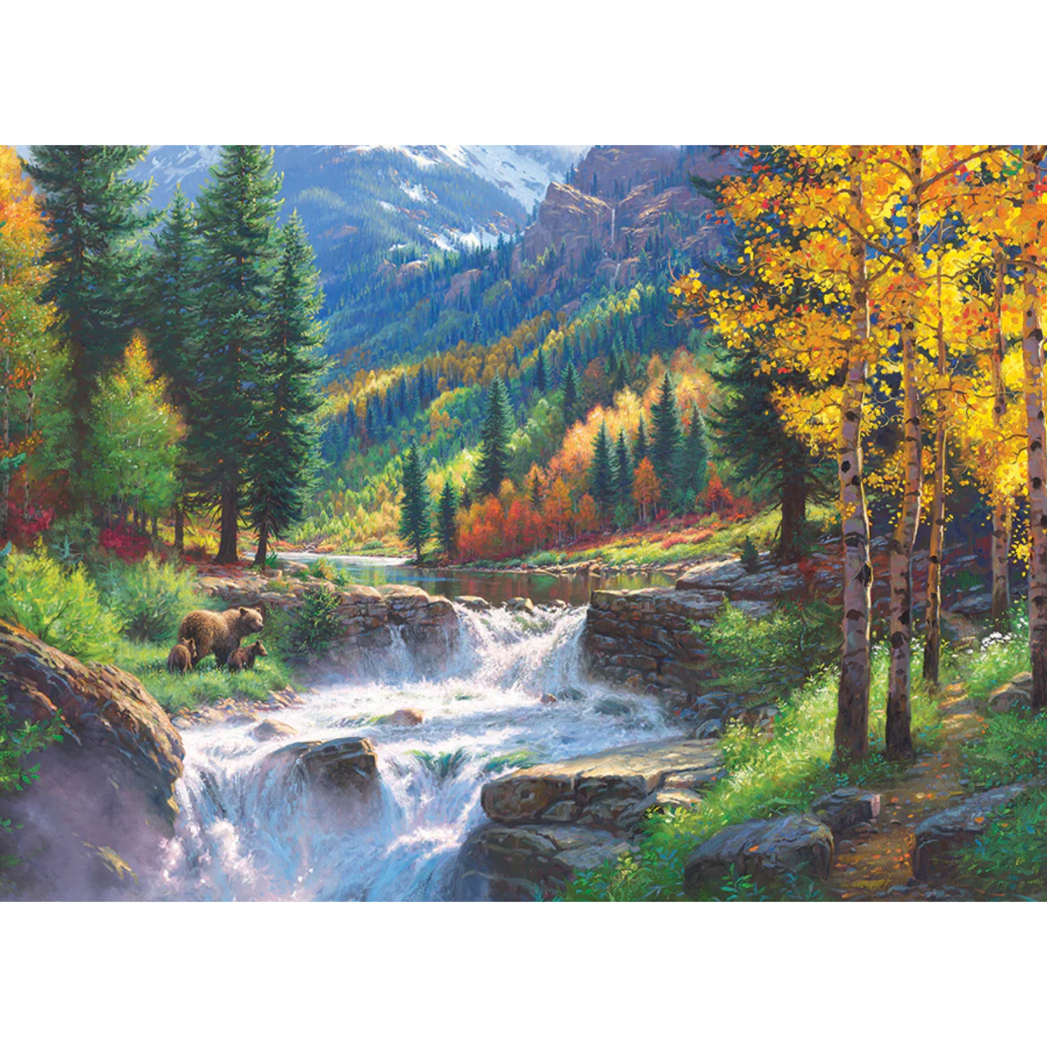 45112-Bear-Falls-pkg_855x700 (2)