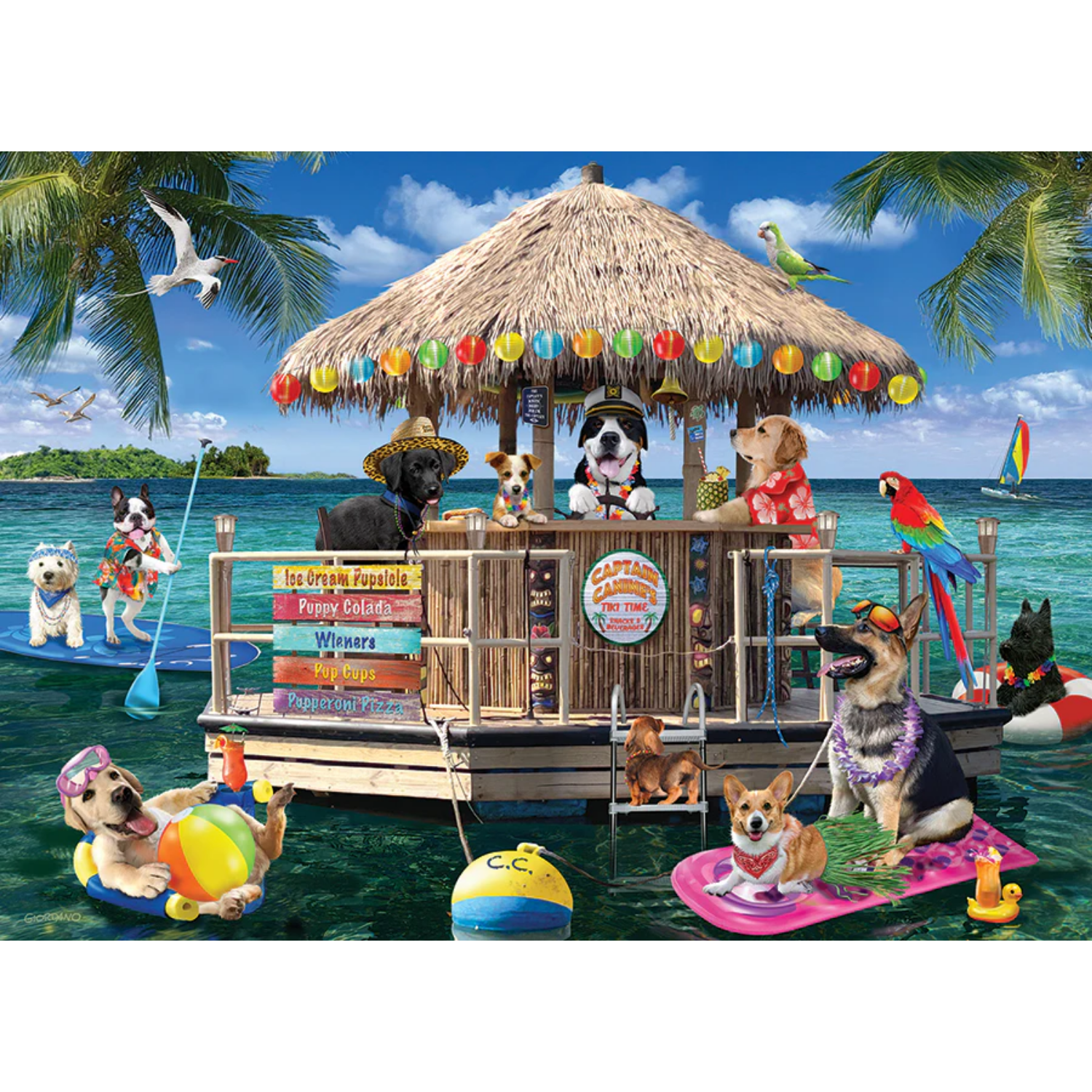 45138-splash-zone-pkg_865x700 (2)