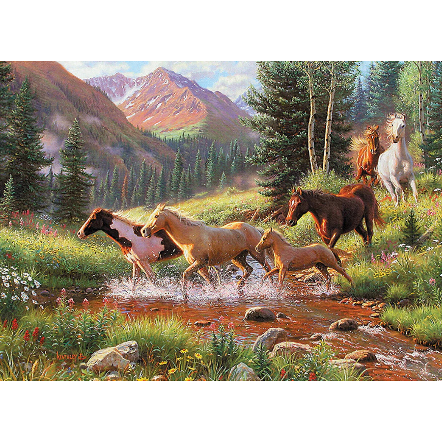 40168-mountain-thunder-pkg-rgb_865x700 (2)
